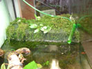 Aquaterrarium