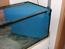 Paludarium