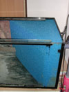Paludarium